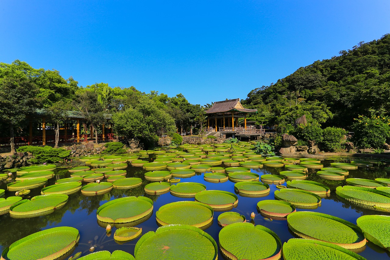 石林造景魚缸圖片大全大圖欣賞（有沒有什么地方風景比較好?。? title=