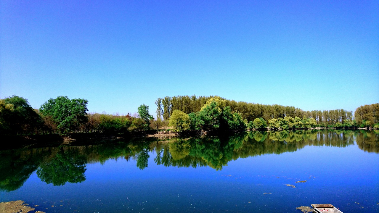 風(fēng)水魚缸造景圖片大全集圖（菖蒲可以用于水族箱造景嗎） 魚缸風(fēng)水 第2張