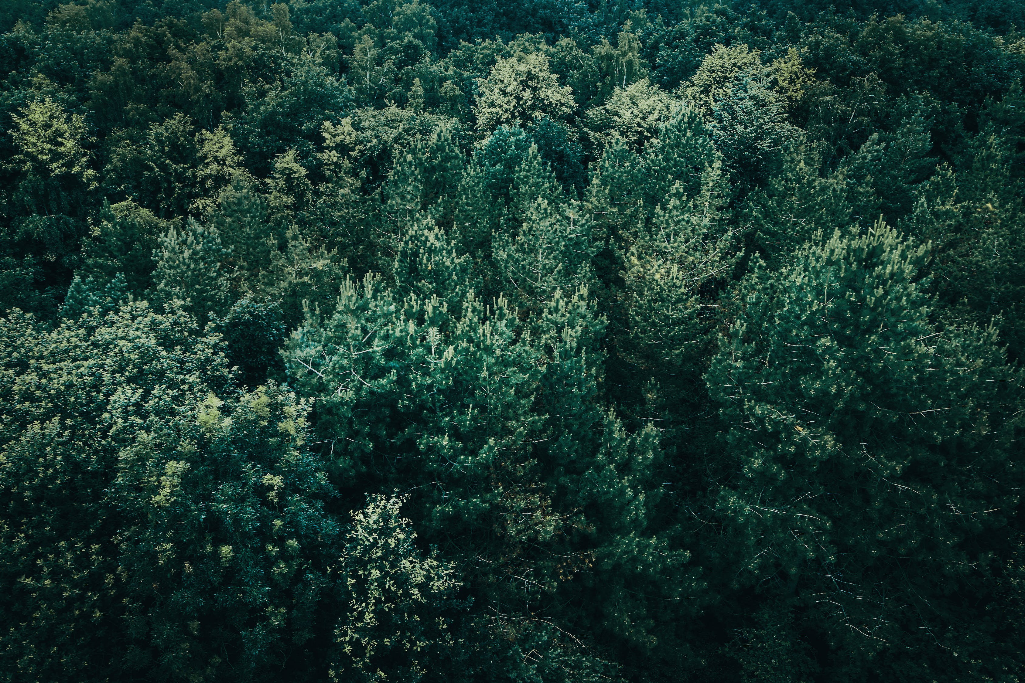 枯山水景觀設(shè)計(jì)案例分析（枯山水的沙怎么清潔） 廣州景觀設(shè)計(jì) 第1張