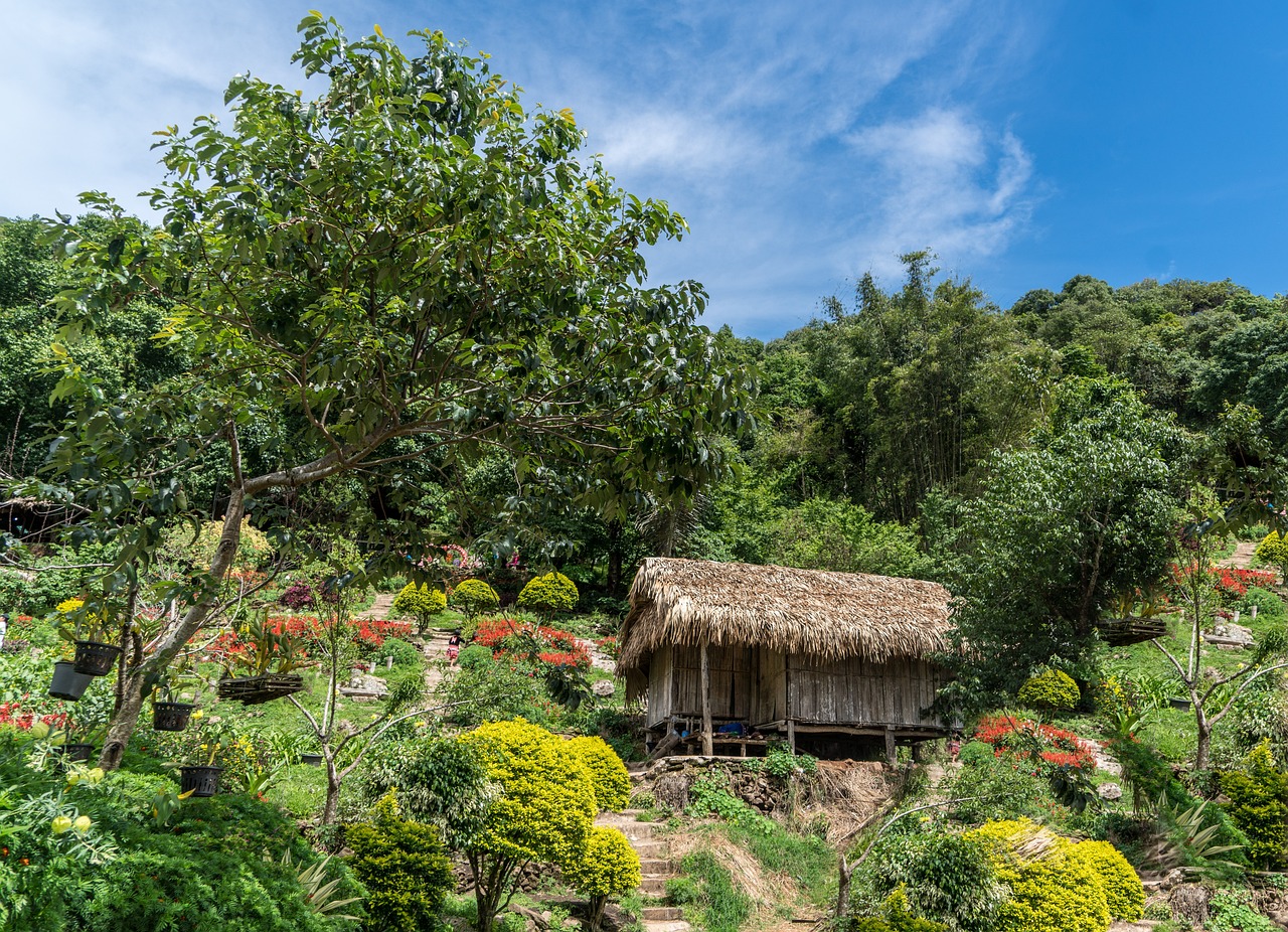 植物墻效果圖（庭院植物墻圖片效果圖） 廣州景觀設(shè)計(jì) 第1張