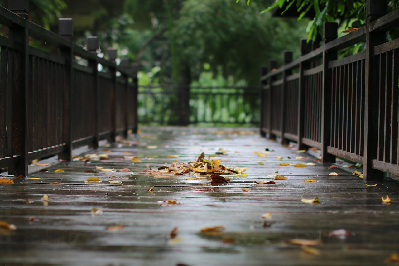 戶外景觀造型圖片大全集（適合，室外，的，觀葉，植物，有，哪些）