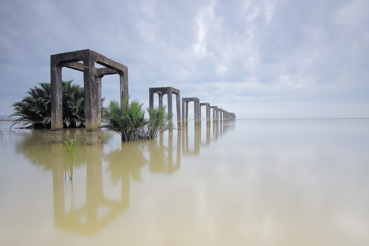 魚缸置景圖片高清（造景的魚缸適合養(yǎng)什么魚） 廣州景觀設(shè)計 第4張