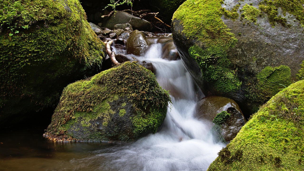 魚(yú)缸造景 教程圖片大全集（魚(yú)缸陶粒怎么造景） 廣州景觀設(shè)計(jì)