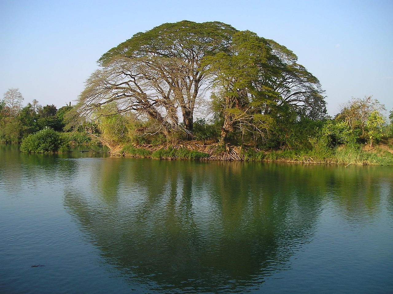 魚池假山造價(jià)（有誰(shuí)知道家庭假山魚池多少錢） 廣州景觀設(shè)計(jì) 第2張