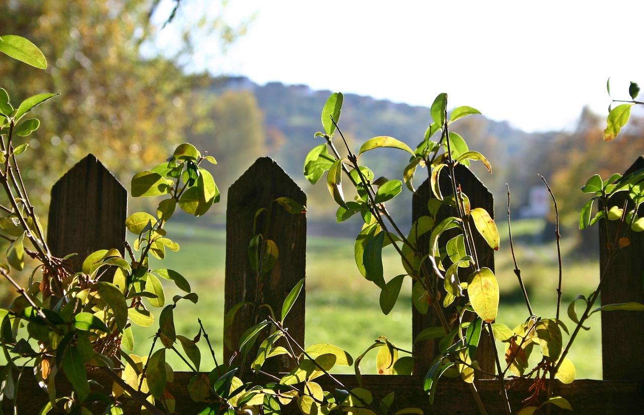 植物墻設(shè)計(jì)說(shuō)明范文圖片（生態(tài)墻的作用） 廣州景觀設(shè)計(jì) 第4張