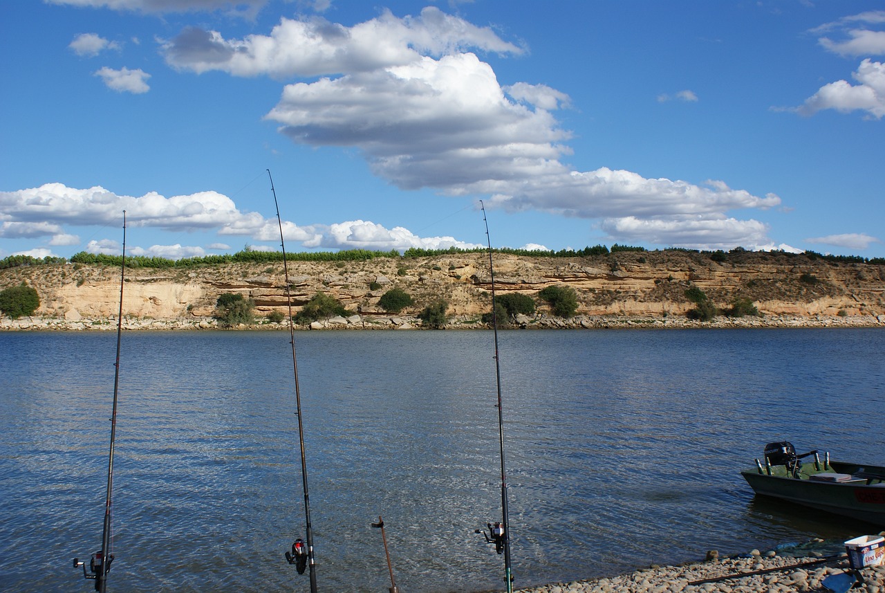 廈門(mén)金龍魚(yú)調(diào)和油批發(fā)價(jià)格多少（金龍魚(yú)調(diào)和油市場(chǎng)價(jià)格） 海水魚(yú)