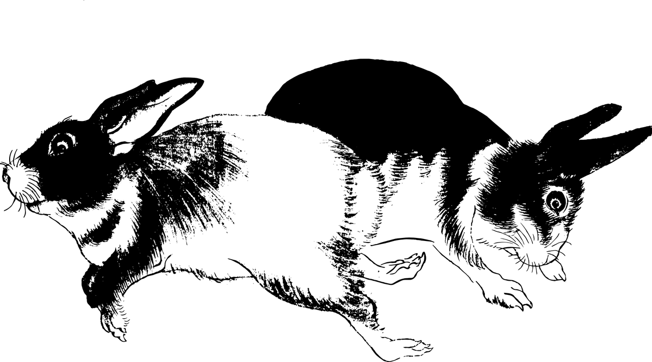 農(nóng)村家庭魚缸放在什么位置好一點(diǎn)（農(nóng)村家里養(yǎng)魚魚缸怎么擺放） 元寶鳳凰魚專用魚糧