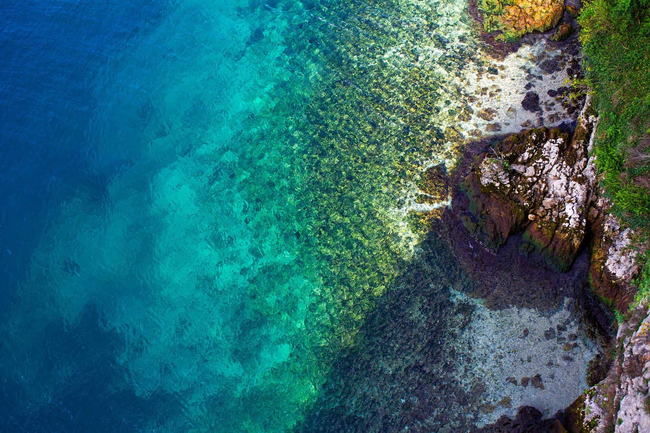 魚缸造景海底風格效果圖（魚缸造景石一般是哪種石頭） 廣州景觀設計 第2張