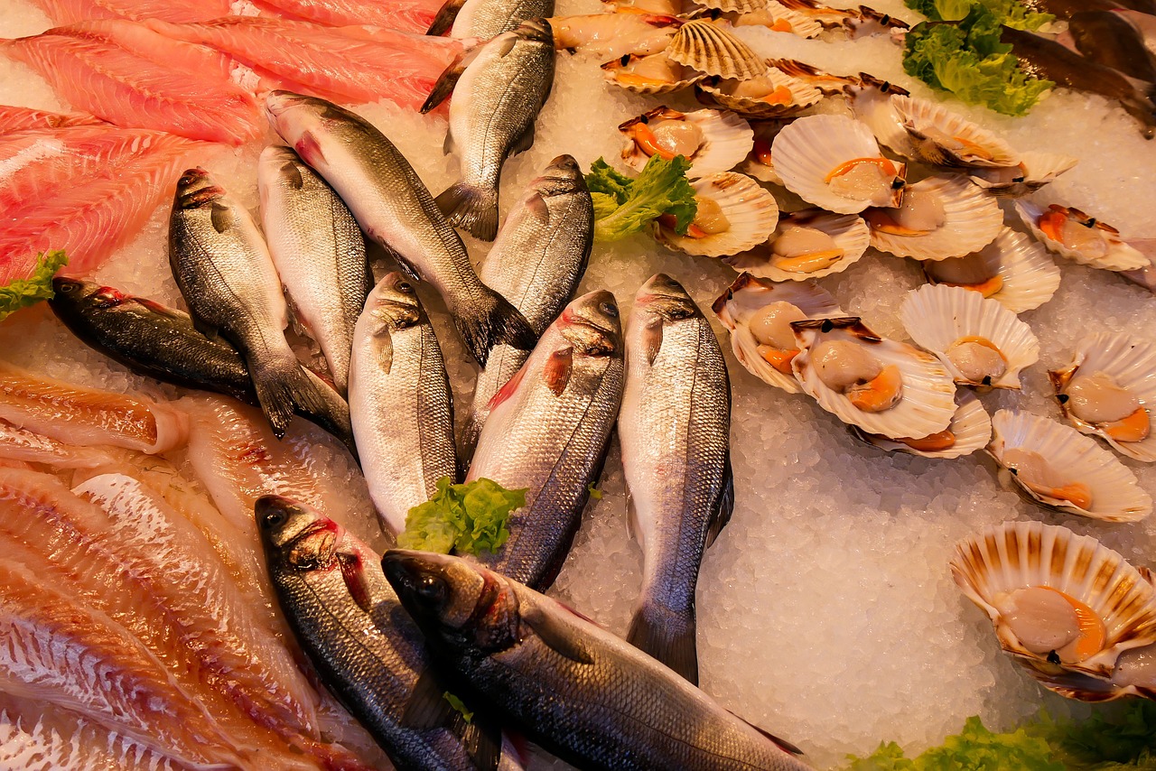 小丑魚鮮糧配方(小丑魚種魚飼料配方)