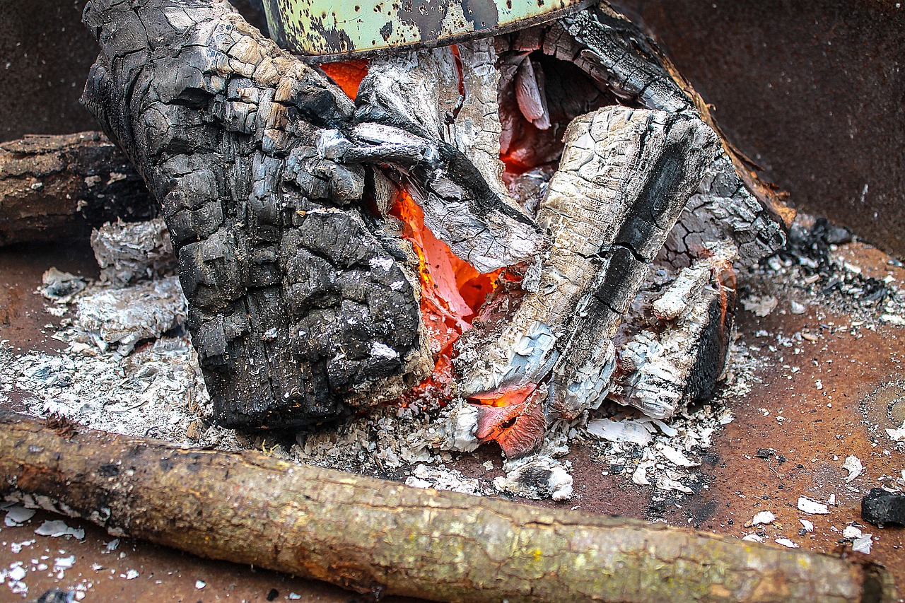 魚(yú)缸里的木頭不沉底怎么辦呀(魚(yú)缸木頭不下沉怎么辦) 月光鴨嘴魚(yú) 第1張