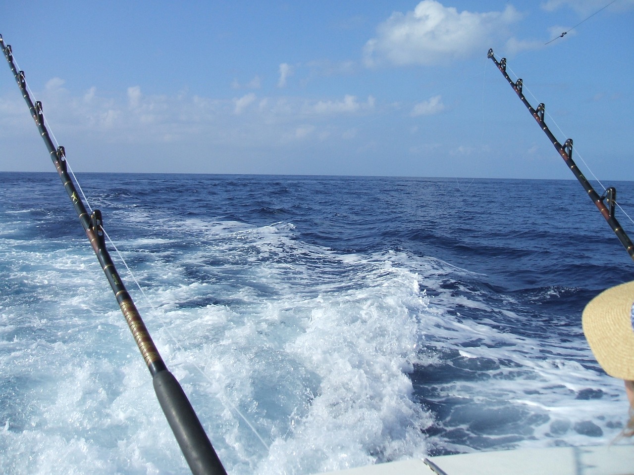 廣州流溪河魚(yú)種類圖片（廣州釣魚(yú)用路亞的問(wèn)題） 垂釣樂(lè)園 第1張