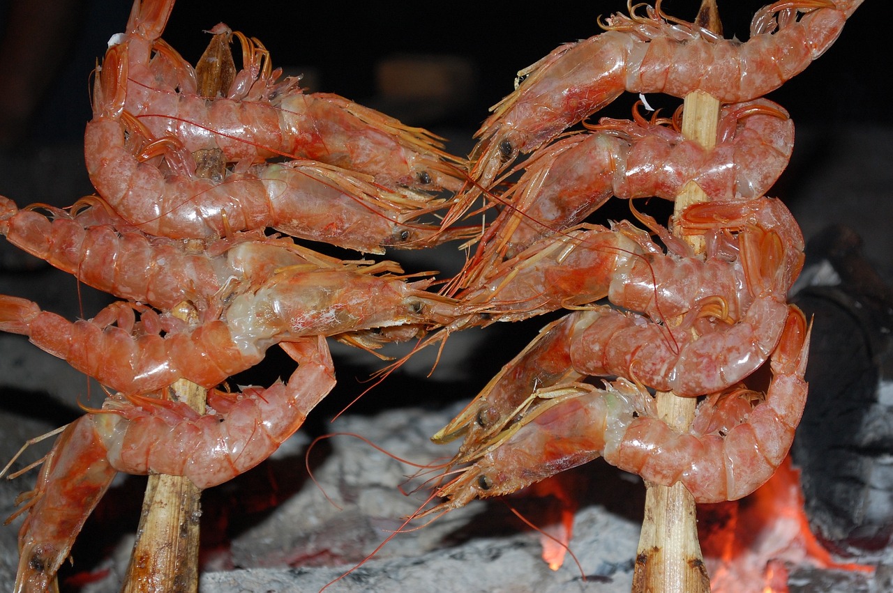 鸚鵡魚(yú)吃蝦嗎?(鸚鵡魚(yú)吃小蝦嗎) 鸚鵡魚(yú) 第1張