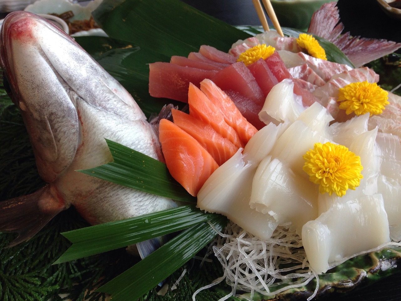 埃及神仙魚喂什么飼料好呢（埃及神仙魚不吃飼料怎么訓食） 埃及神仙魚 第2張