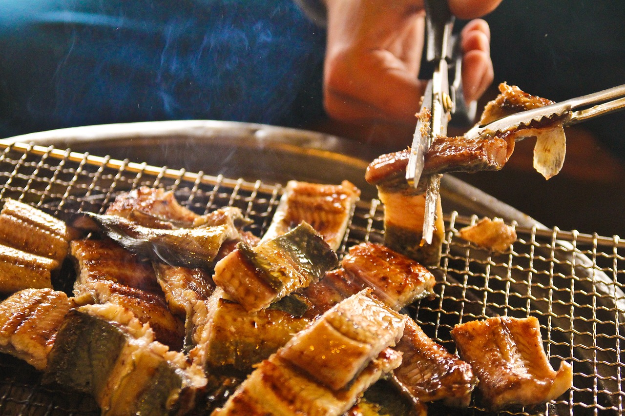 龍魚只吃飼料怎么辦（龍魚只吃活魚怎么辦）