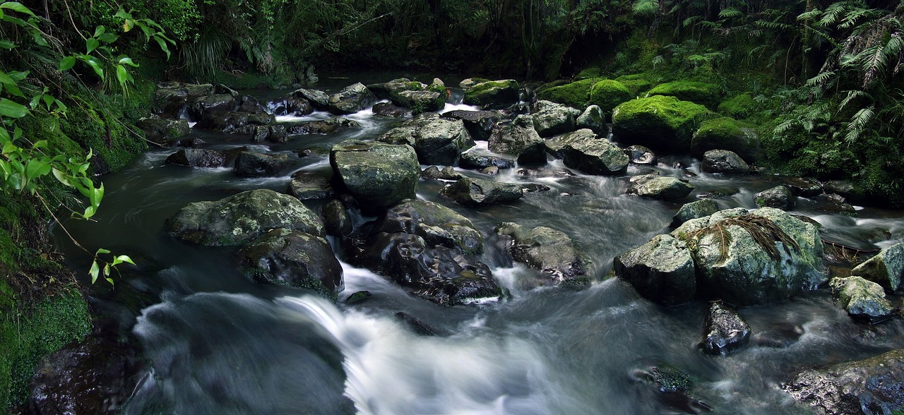 溪流缸和原生缸區(qū)別是流水嗎（原生溪流缸最佳尺寸） 廣州景觀設(shè)計(jì) 第2張