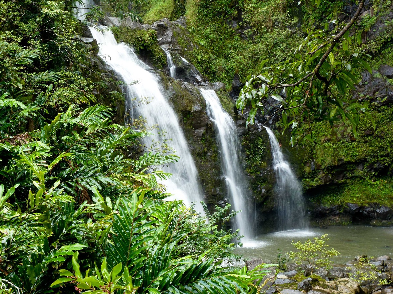 魚缸水景景觀圖片大全大圖（金魚缸如何造景） 廣州景觀設(shè)計 第2張