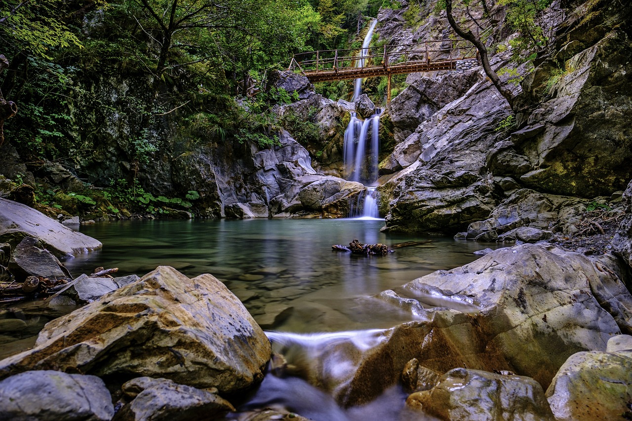 魚缸水景景觀圖片大全大圖（金魚缸如何造景） 廣州景觀設(shè)計 第3張