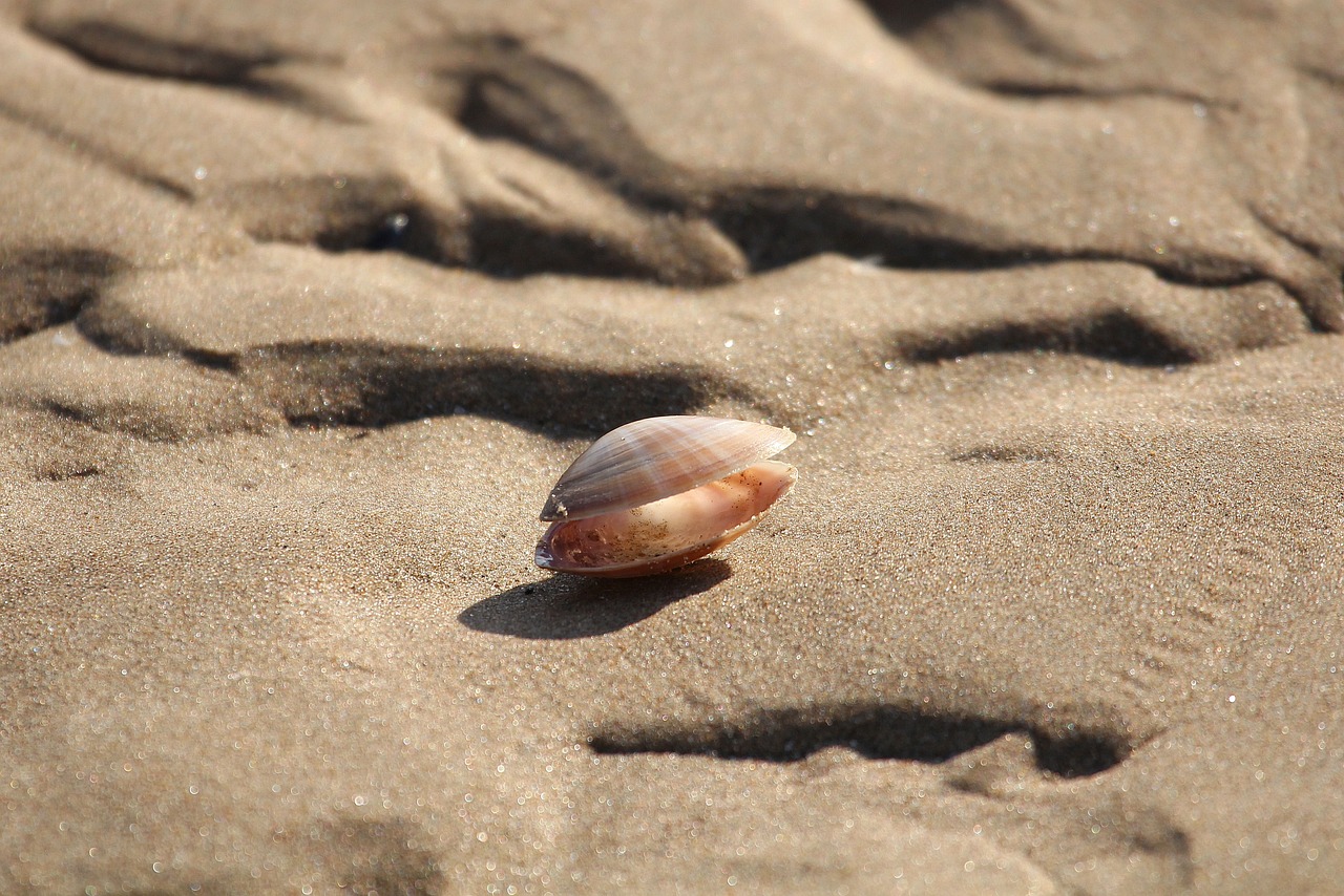 河沙魚缸造景圖片大全（河沙做魚缸底沙好看嗎）