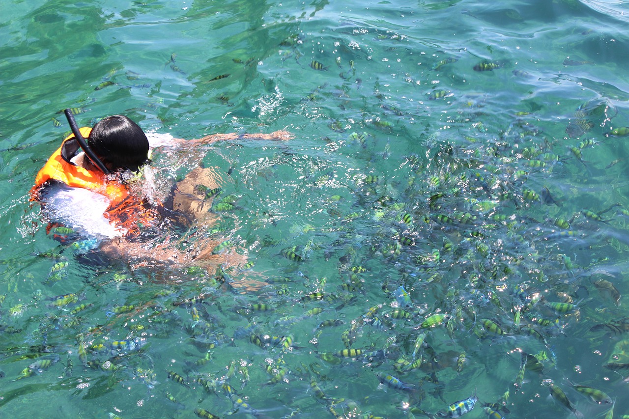 銀龍魚吃小魚能不能撐死（銀龍魚吃小魚能不能撐死呢）