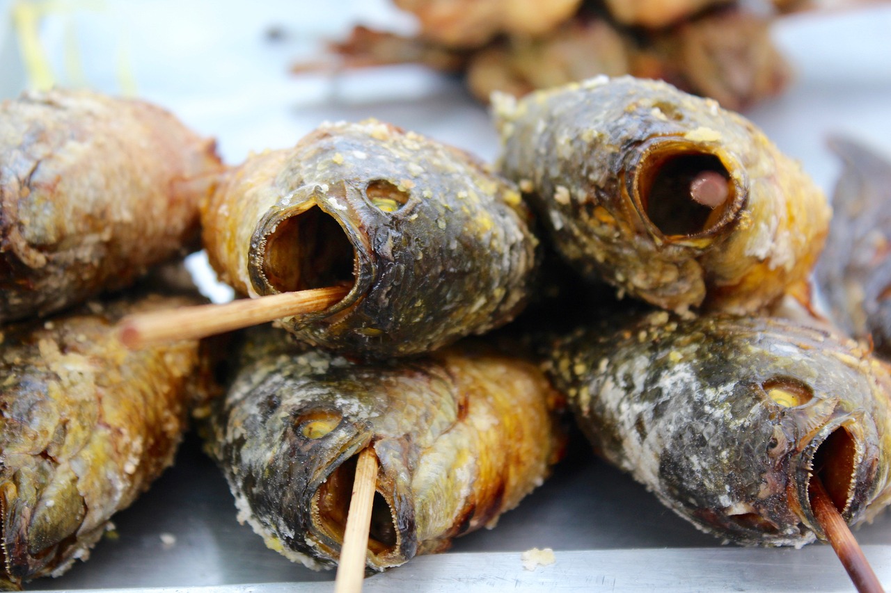 虎紋恐龍魚不吃飼料怎么回事（虎紋恐龍魚不吃飼料怎么回事呢） 觀賞魚飼料 第3張