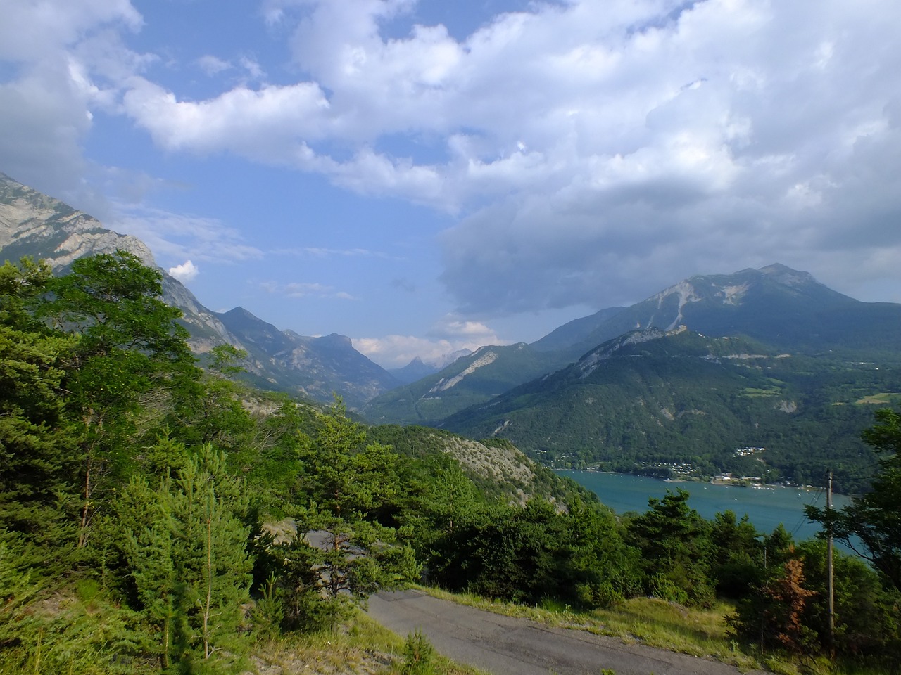 40原生溪流缸造景（原生溪流缸造景圖片） 夢幻雷龍魚 第3張