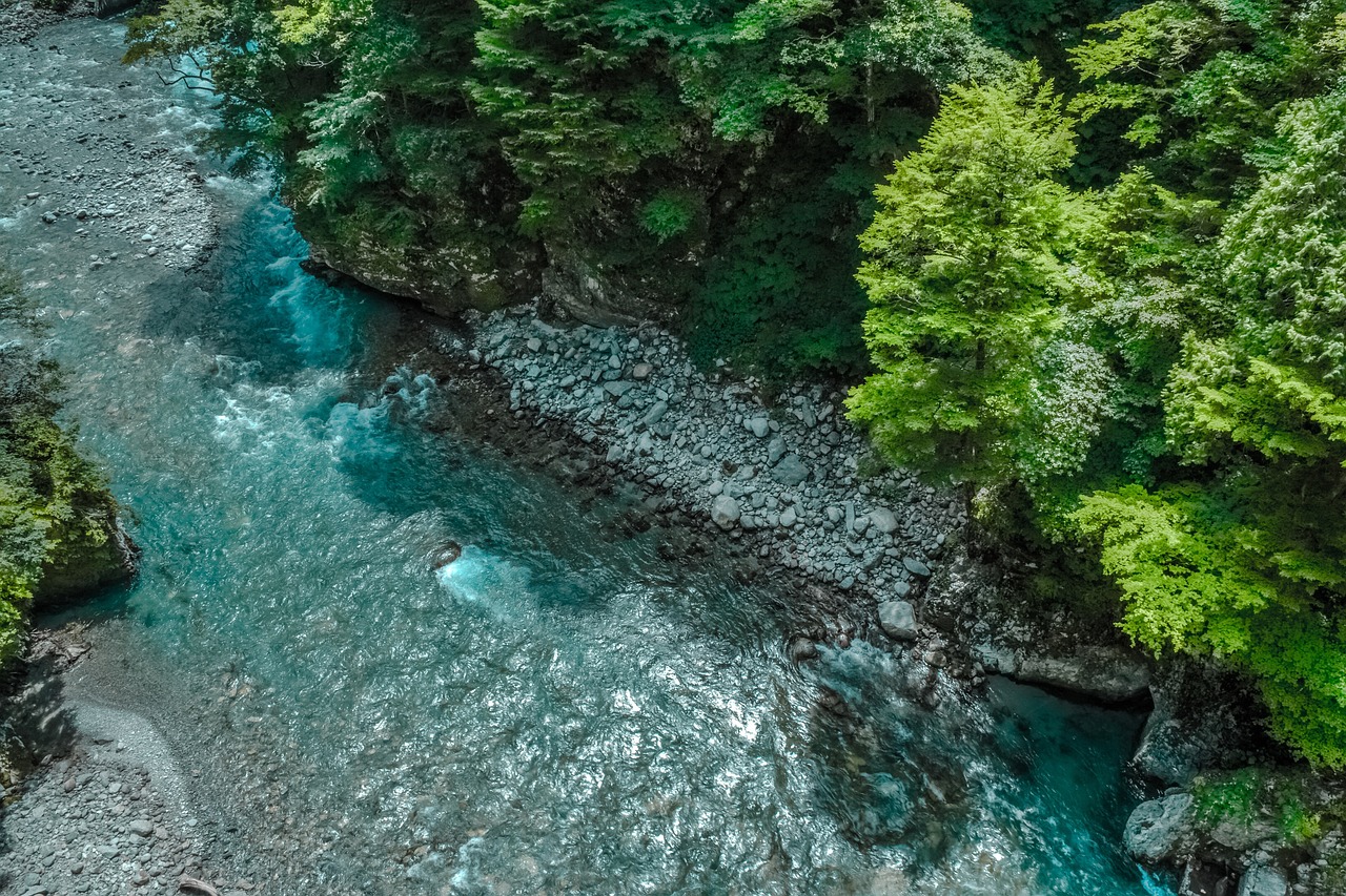 魚缸造景用什么石頭好用（龍魚缸適合放什么石頭造景） 廣州景觀設(shè)計 第1張