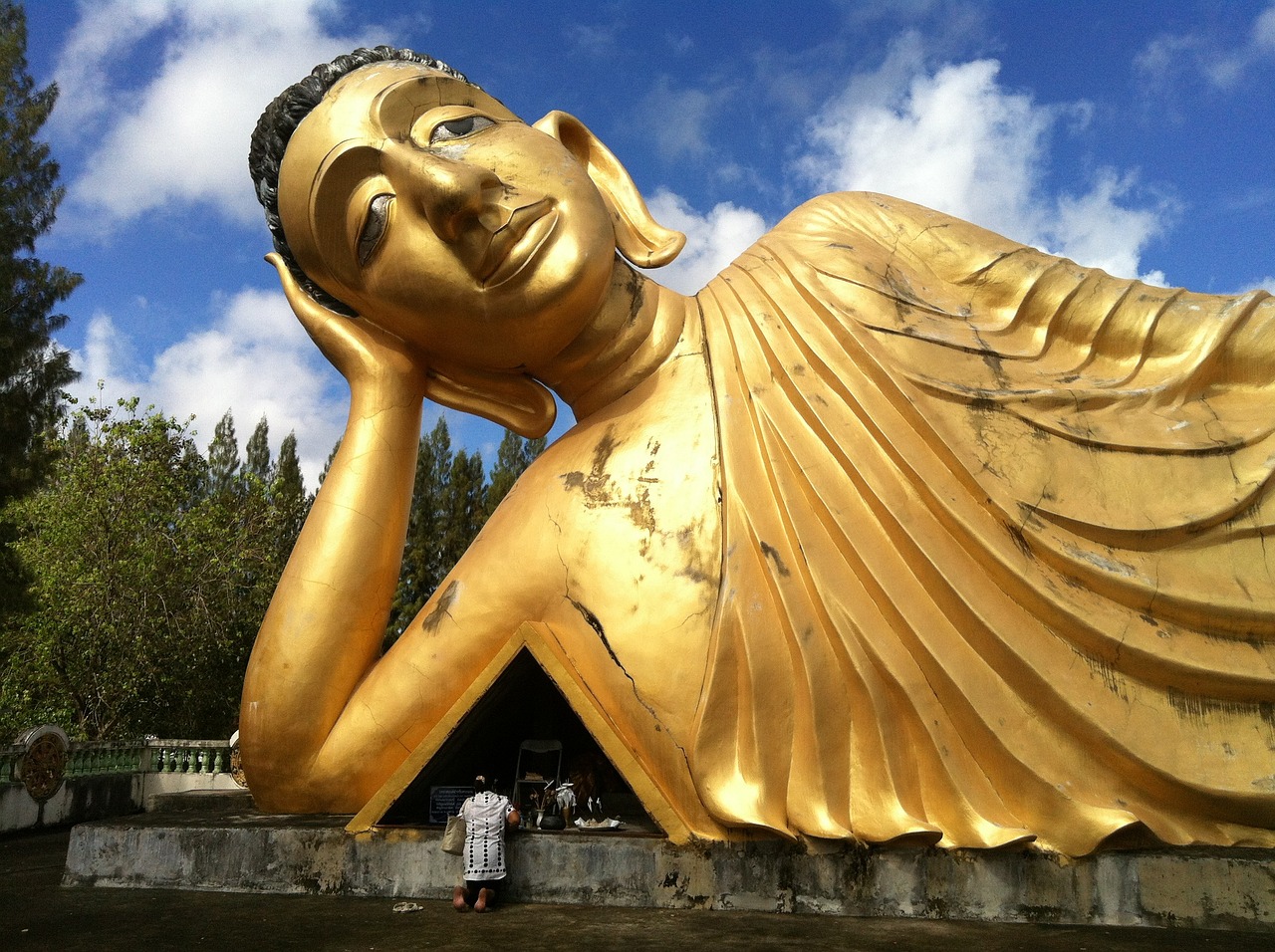 金龍圖片大全大圖霸氣(金龍圖片大全大圖霸氣壁紙) 虎紋銀版魚 第2張