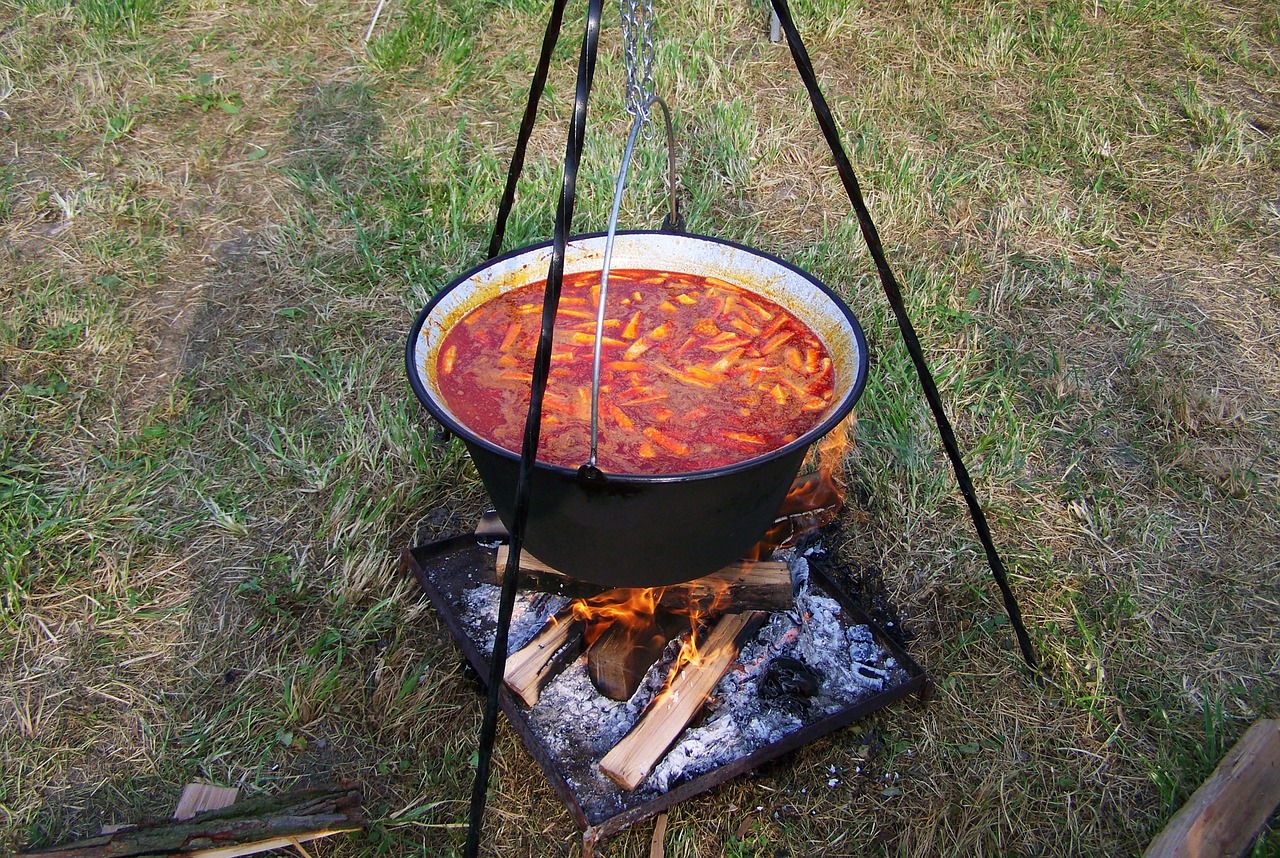 金魚缸照明燈的作用與用途(金魚缸照明燈的作用與用途圖解) 養(yǎng)魚知識 第2張