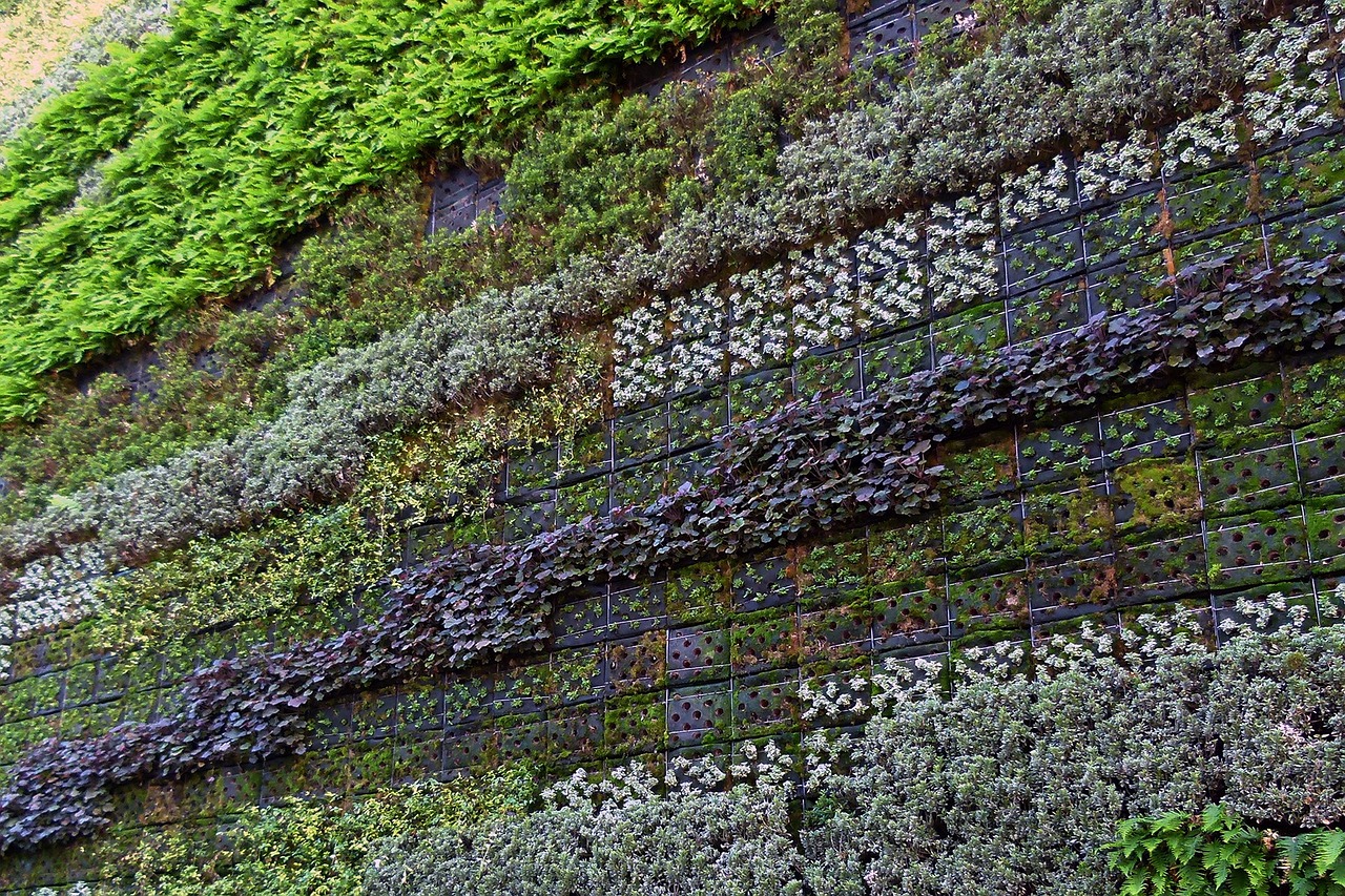 廣州植物墻公司地址電話（你經(jīng)歷過最害羞的事是什么） 廣州景觀設(shè)計(jì) 第3張