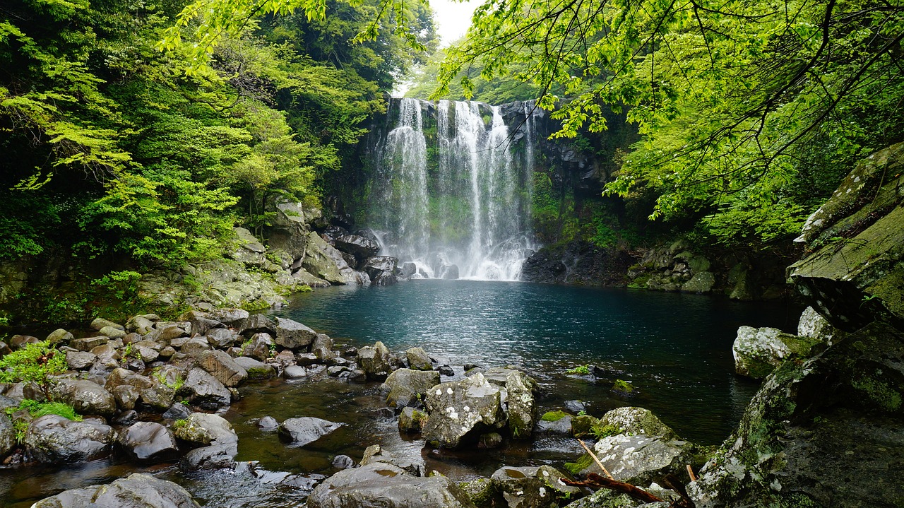 廣州定制魚(yú)池批發(fā)市場(chǎng)地址（廣州哪里游泳最好玩） 廣州景觀設(shè)計(jì) 第1張