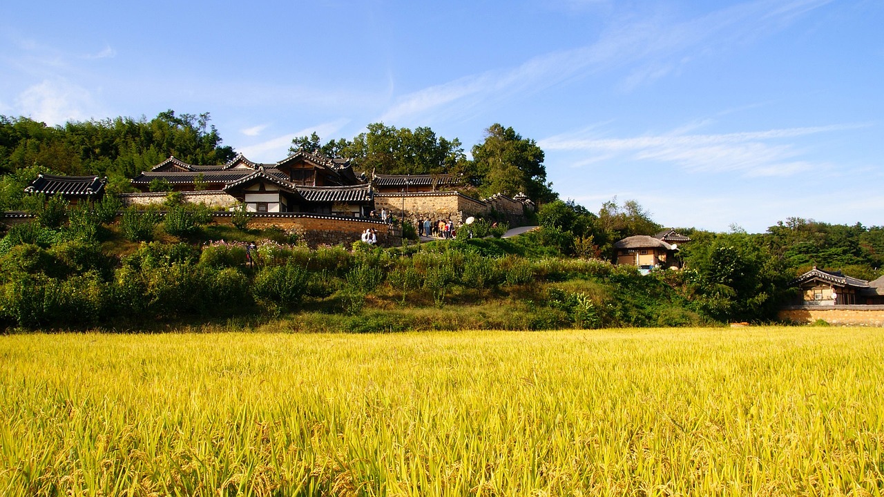 富源縣古敢水族鄉(xiāng)新農(nóng)村飼料店 全國(guó)水族館企業(yè)名錄 第2張