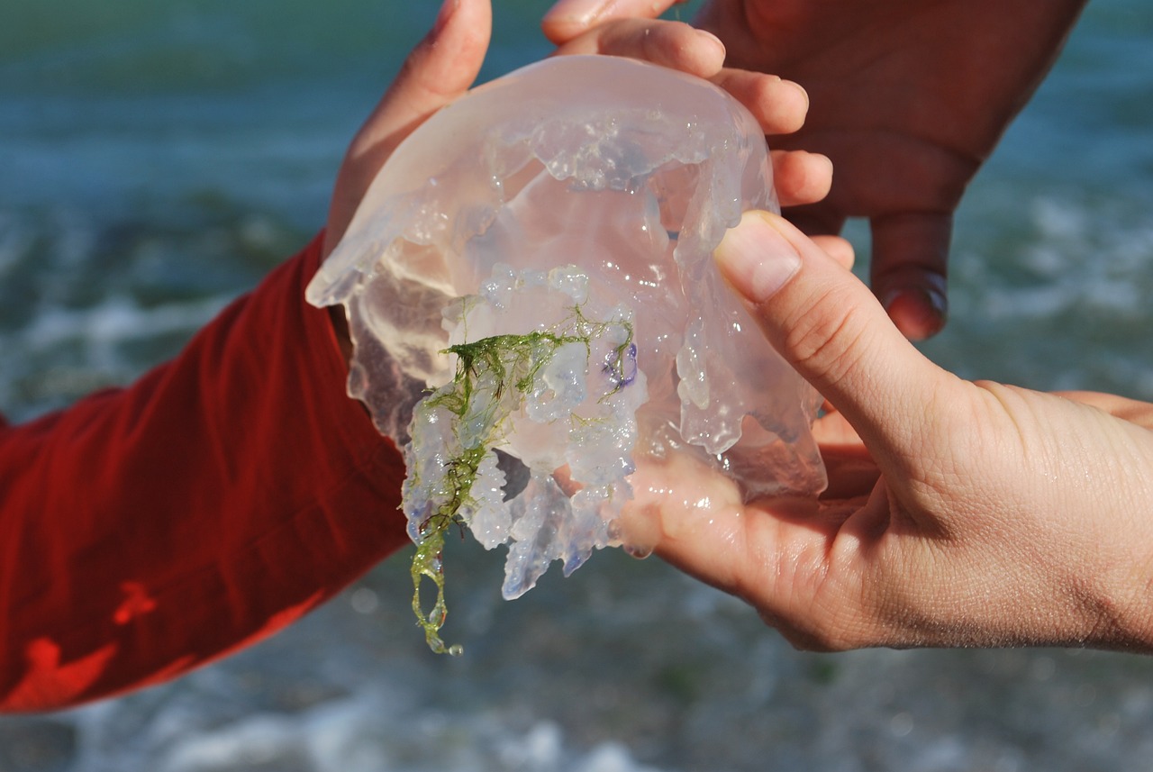 魚缸水污漬怎么去除小妙招(魚缸水污漬太頑固怎么去除)