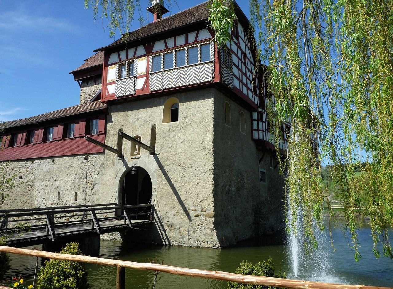 庭院建魚(yú)池視頻教程（庭院魚(yú)池底水變黑怎么辦）