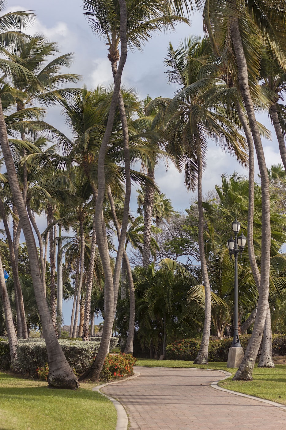 野彩魚缸造景圖片大全大圖高清壁紙（熱帶雨林魚缸造景價格是多少） 廣州景觀設(shè)計 第1張