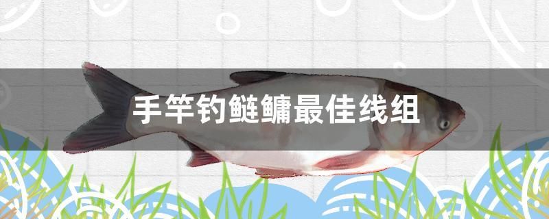 手竿釣鰱鳙最佳線組 過(guò)濾設(shè)備