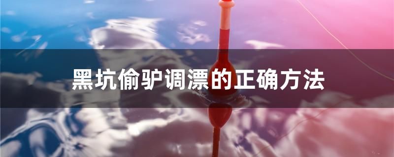 黑坑偷驢調(diào)漂的正確方法