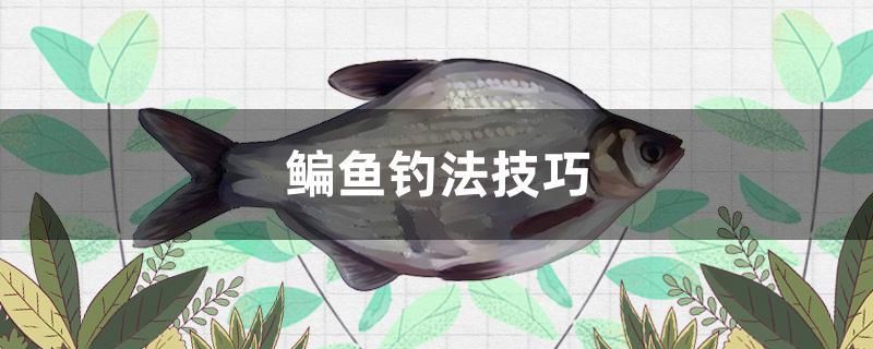 鳊魚(yú)釣法技巧 水溫計(jì)