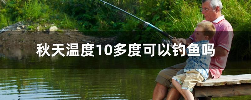 秋天溫度10多度可以釣魚嗎 羅漢魚批發(fā)