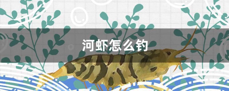 河蝦怎么釣