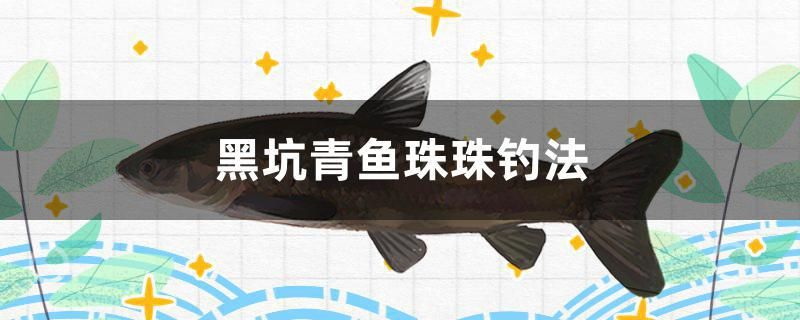 黑坑青魚珠珠釣法