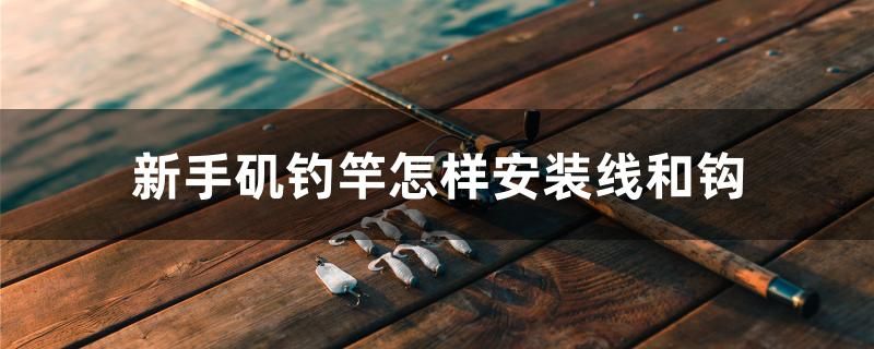 新手磯釣竿怎樣安裝線和鉤 魚缸百科