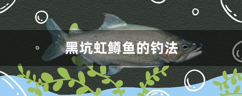 黑坑虹鱒魚的釣法