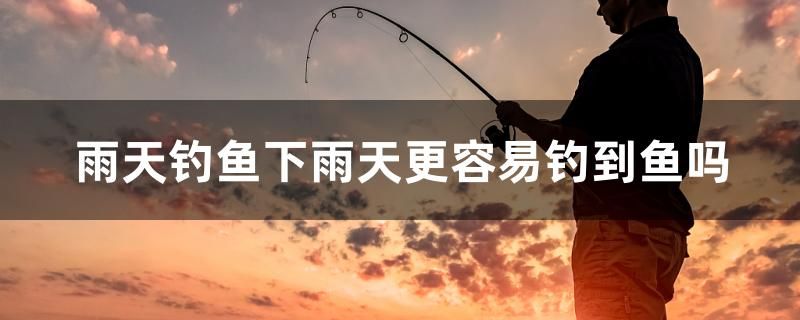 雨天釣魚(yú)下雨天更容易釣到魚(yú)嗎 和尚魚(yú)