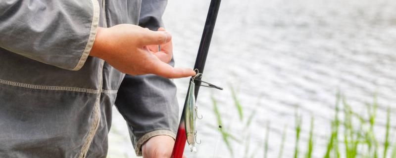 初春突然升溫好釣魚嗎適合釣什么魚 小型觀賞魚