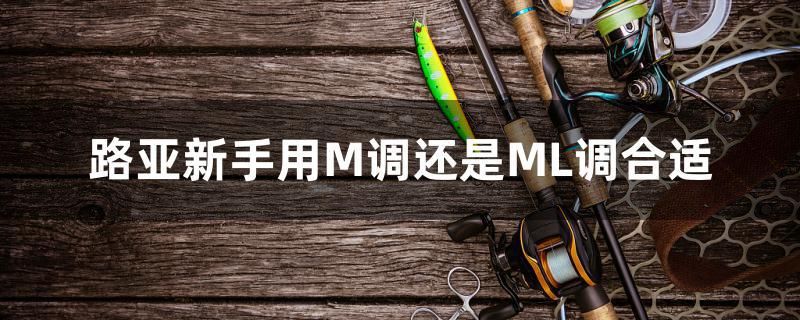 路亞新手用M調還是ML調合適