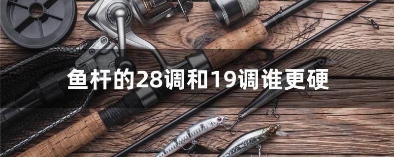 魚(yú)桿的28調(diào)和19調(diào)誰(shuí)更硬 水族主題相關(guān)