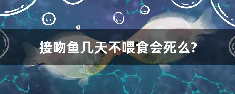 接吻魚(yú)幾天不喂食會(huì)死么？