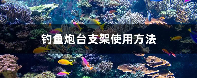 釣魚炮臺(tái)支架使用方法 魚糧魚藥