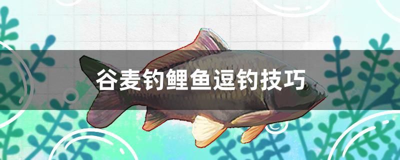 熱帶魚魚缸水渾濁原因和解決方案（魚缸發(fā)白渾濁怎么快速處理） 和尚魚