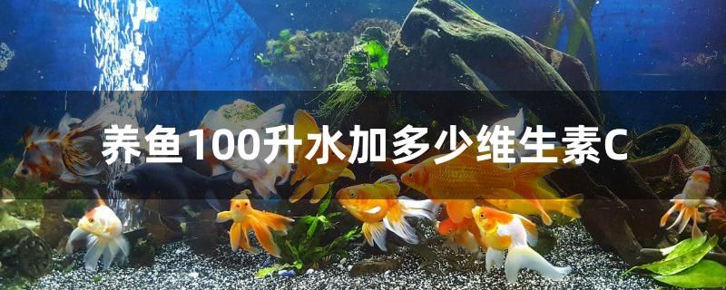 養(yǎng)魚100升水加多少維生素C B級過背金龍魚